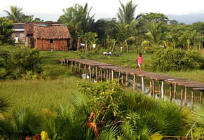 Mittelamerika, Honduras: Abenteuer Honduras - Urwalddorf mit traditioneller Baukunst