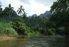 Sdostasien, Thailand: Metropolen, Dschungel und Palmenstrnde - Ufer inmitten des tropischen Regenwaldes